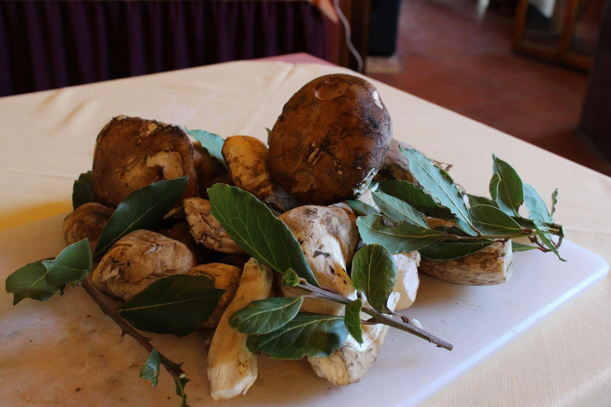 Albergo La Pieve Castelfiorentino Kültér fotó